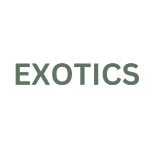 Exotics